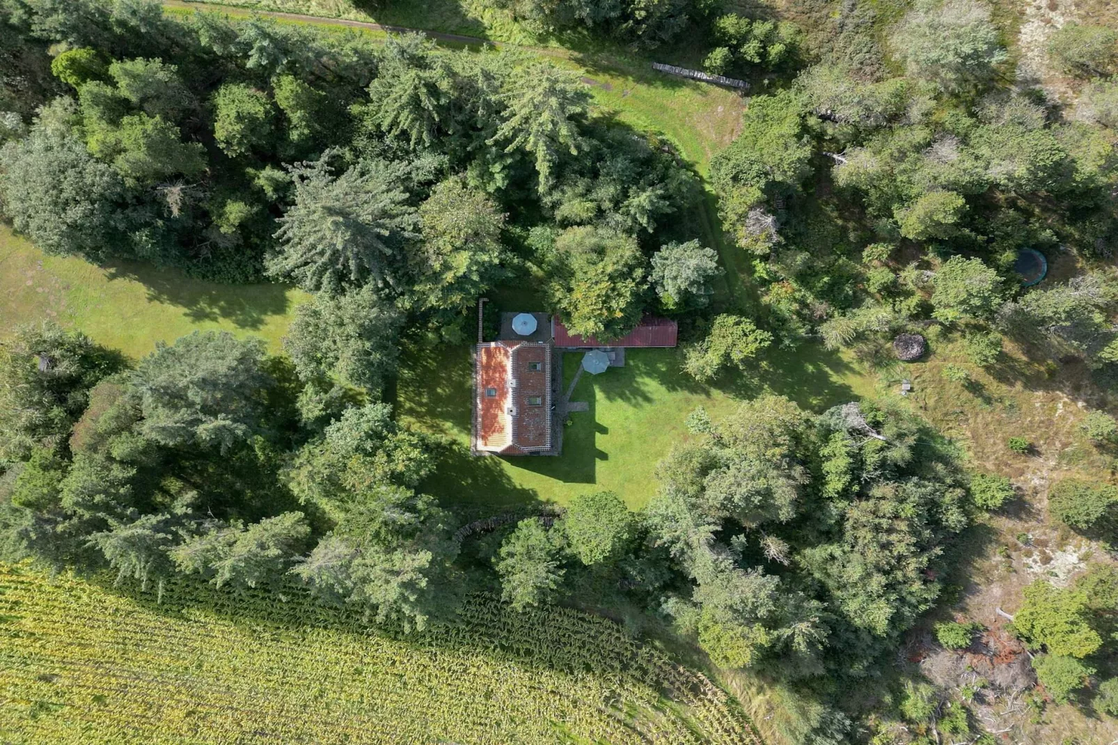 5 sterren vakantie huis in Ålbæk-Buitenlucht