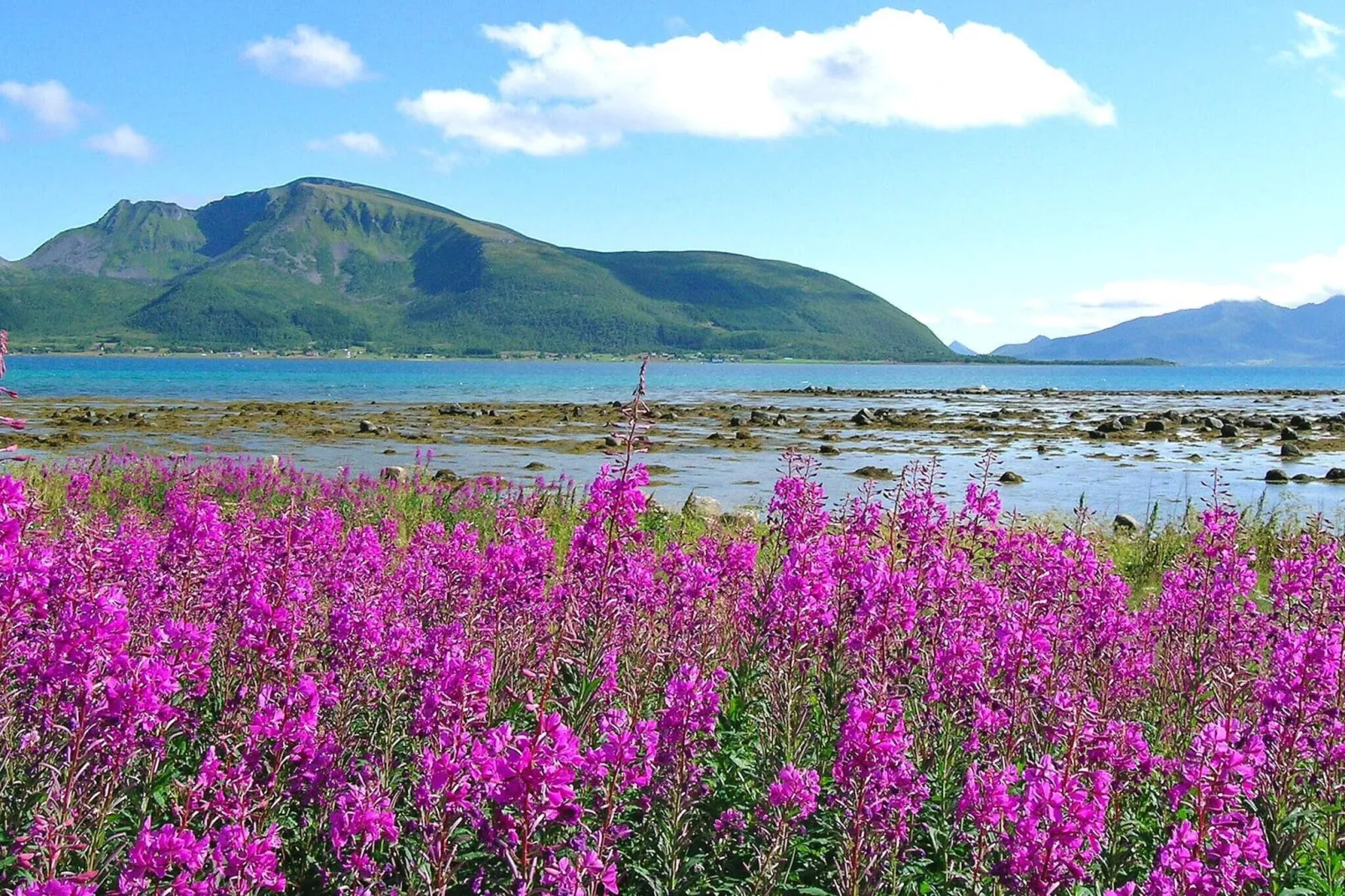 7 persoons vakantie huis in SORTLAND-Buitenlucht