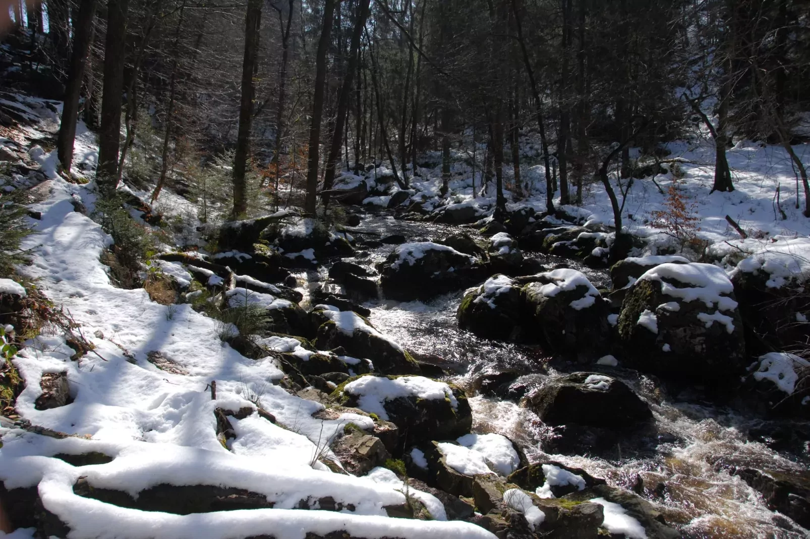 Villa Bel Air-Gebied winter 20km