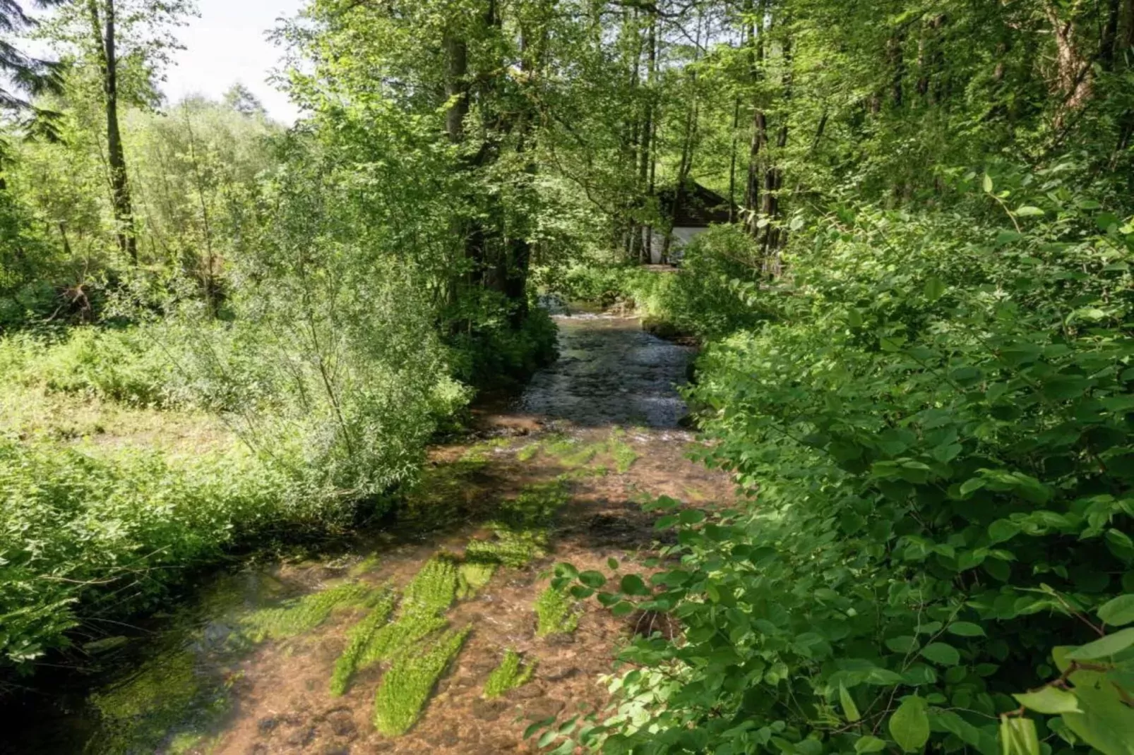 Le Laurier Rose-Gebieden zomer 20km