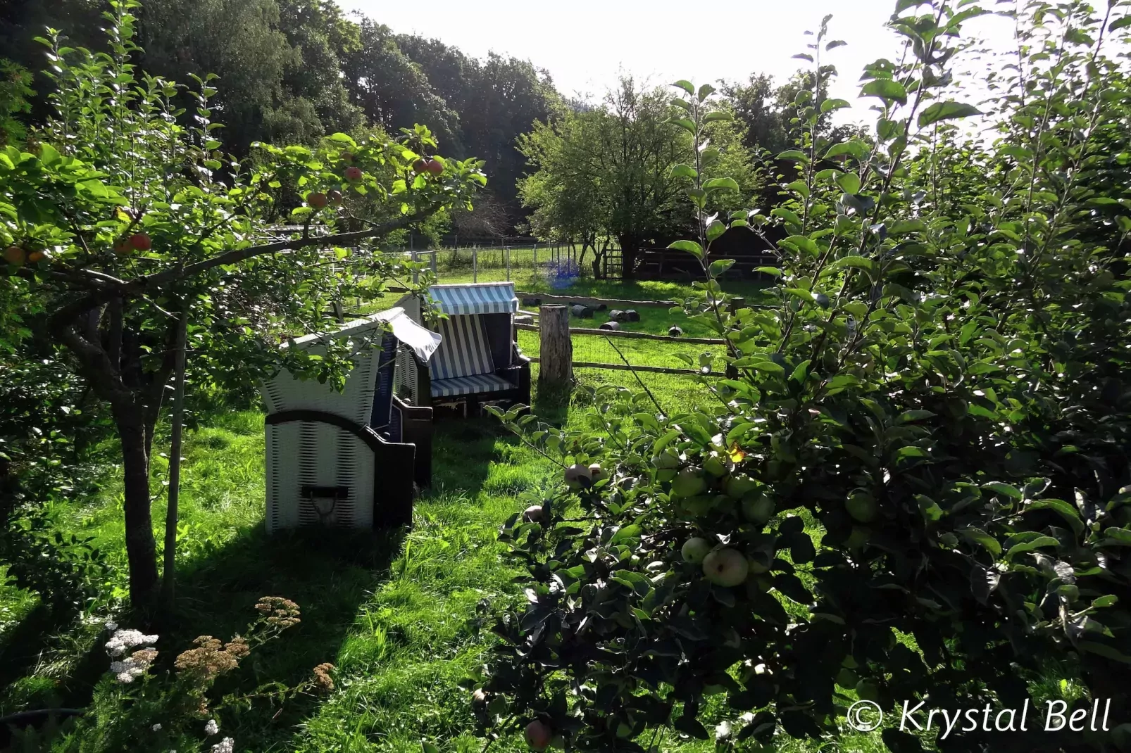 Im Kellerwald-Tuinen zomer