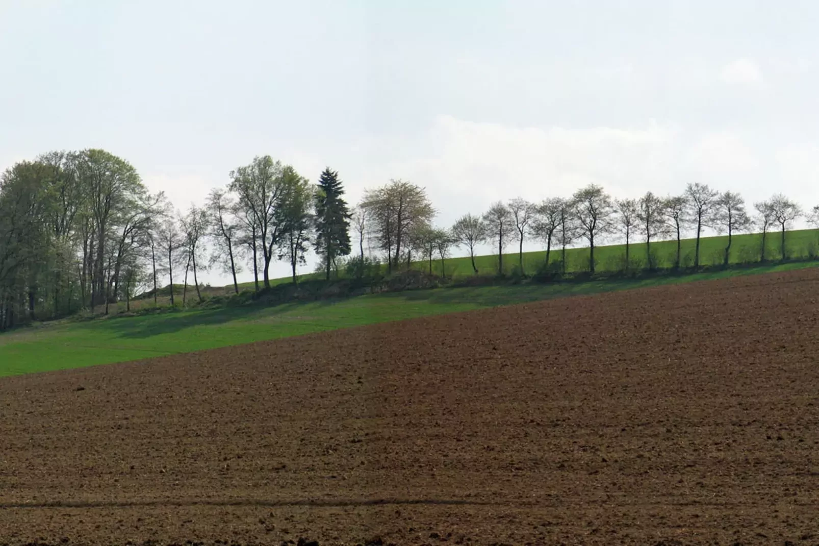 Ober der Hasselt-Gebieden zomer 1km