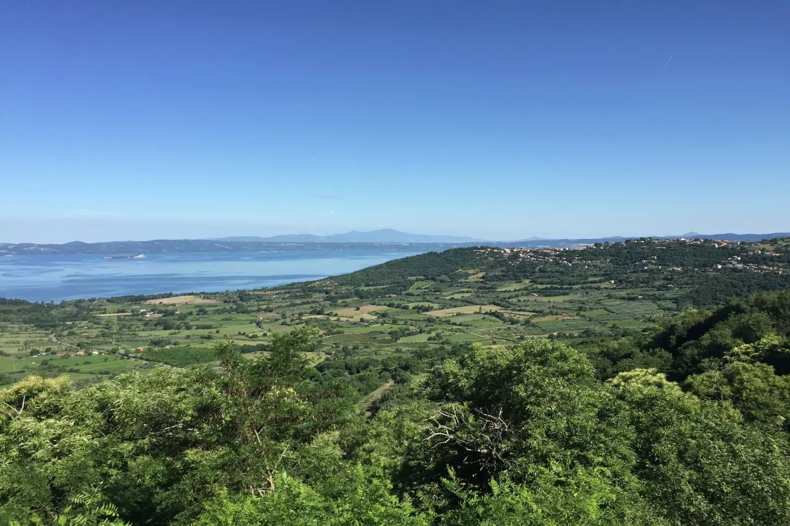 Castagneto-Gebieden zomer 1km