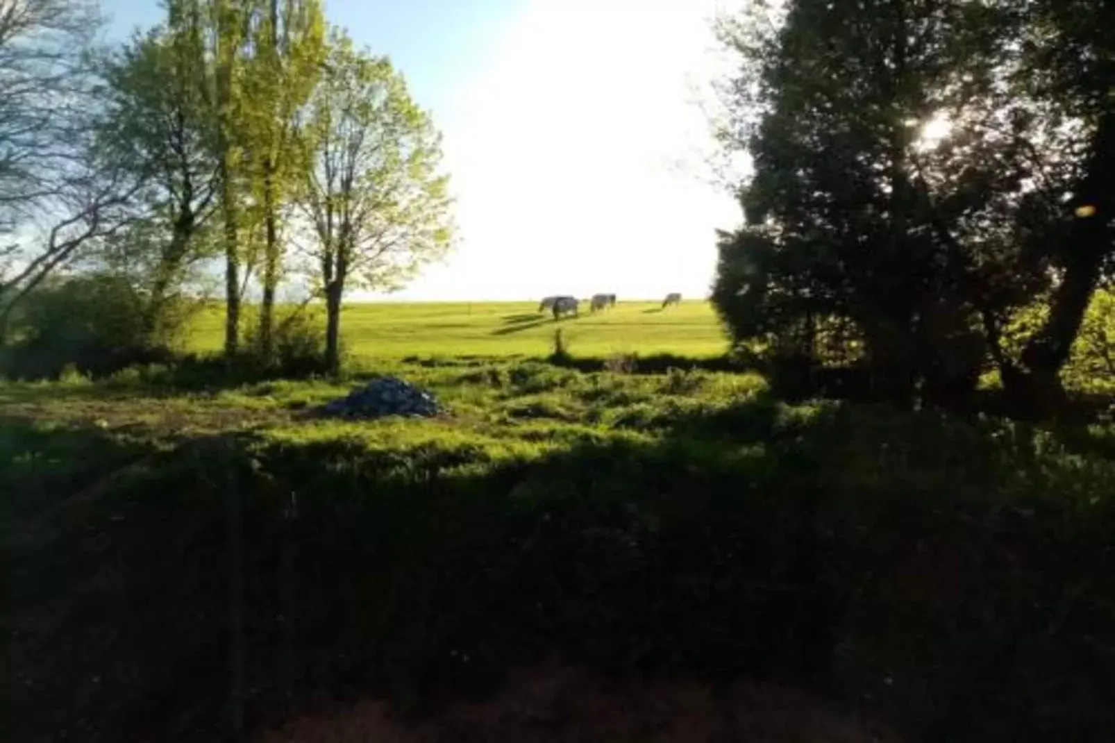 Castel 'Golf' Appart 4 Pers-Gebieden zomer 20km
