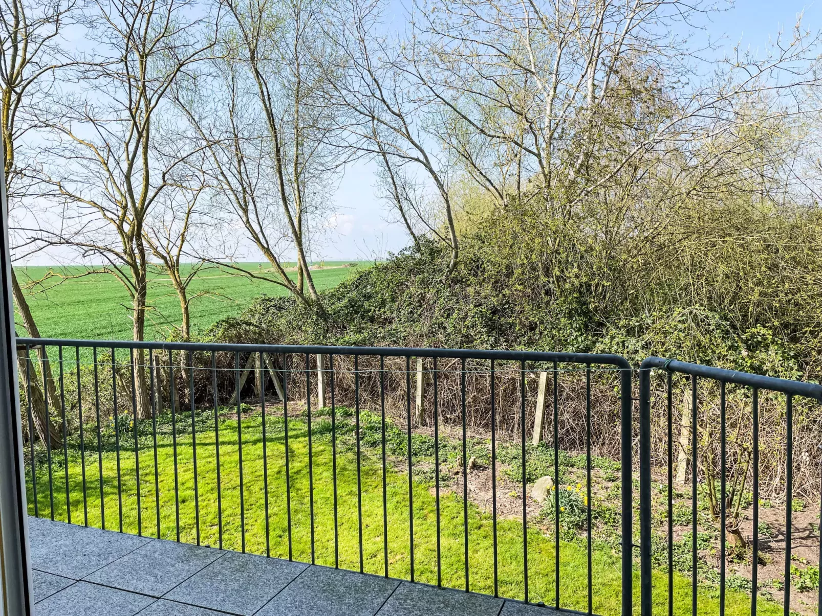 Gollwitzer Park (Insel Poel)-Buiten
