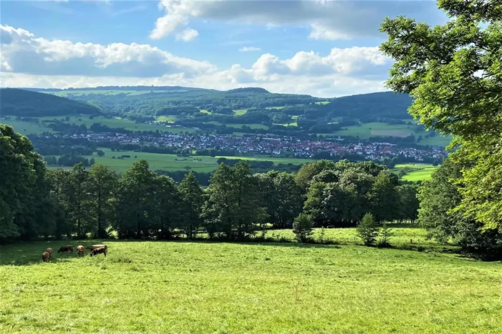 Hohe Rhön-Gebieden zomer 20km