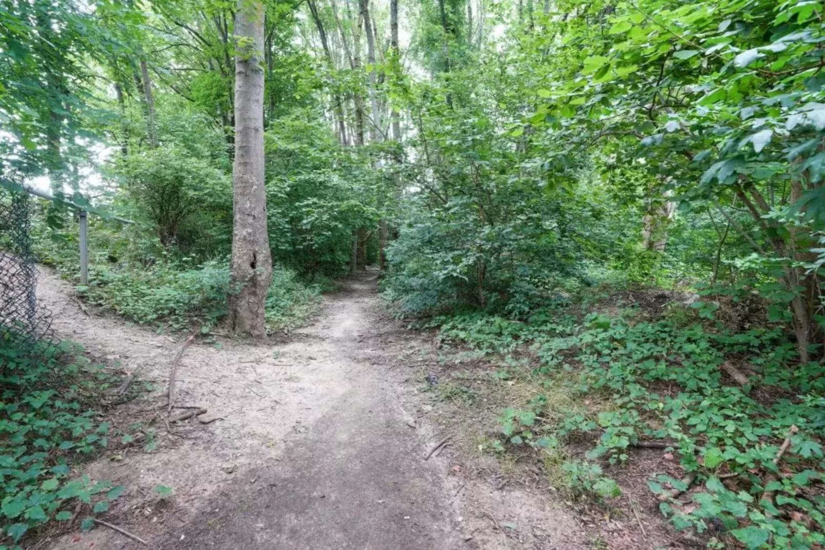 Wad’n Leven-Gebieden zomer 20km