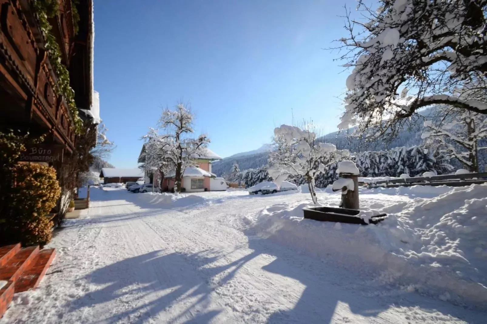 GA2C Alpenleben Apartments-Gebied winter 5km