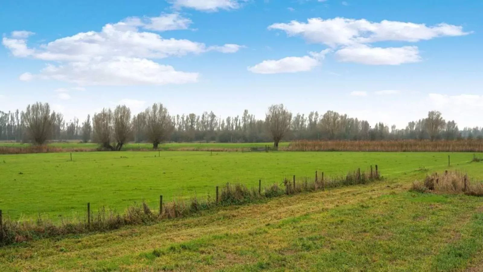 Hoevendeel-Gebieden zomer 1km