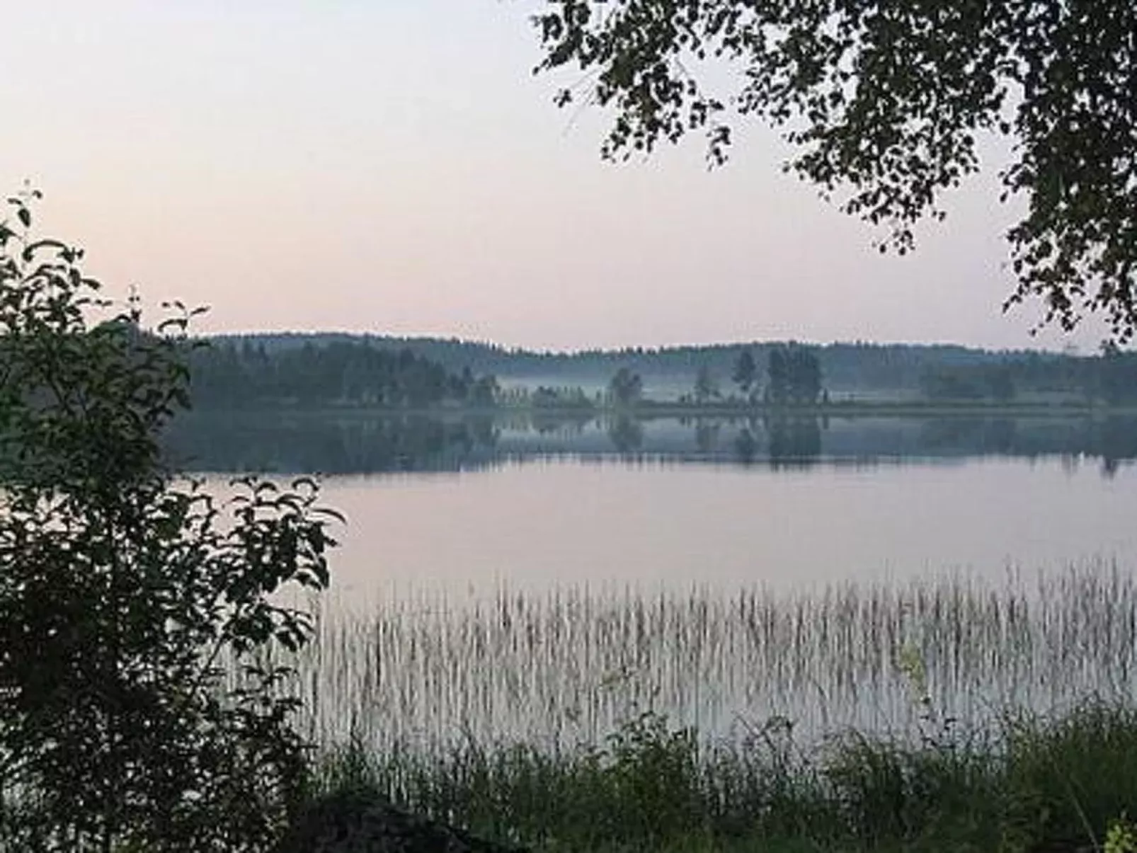 Koivuniemi-Buiten
