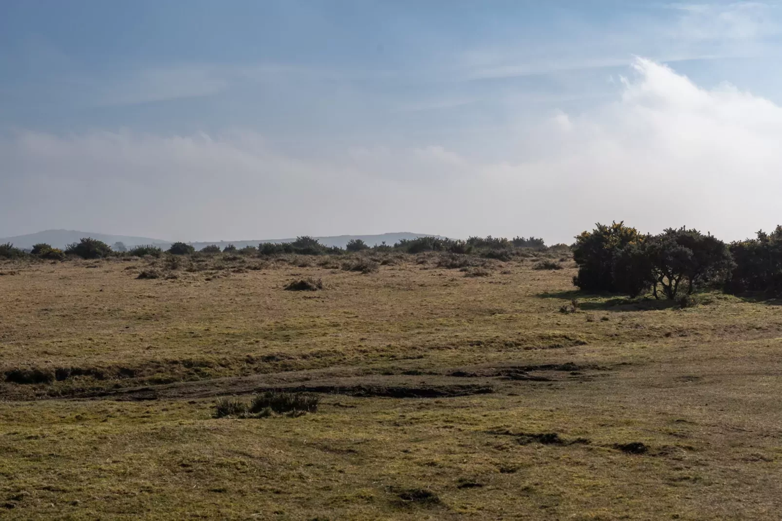 Trippet Cottage at Bodmin Moor