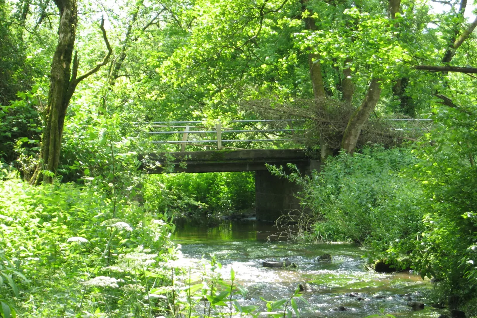 Ma Cabane-Gebieden zomer 1km