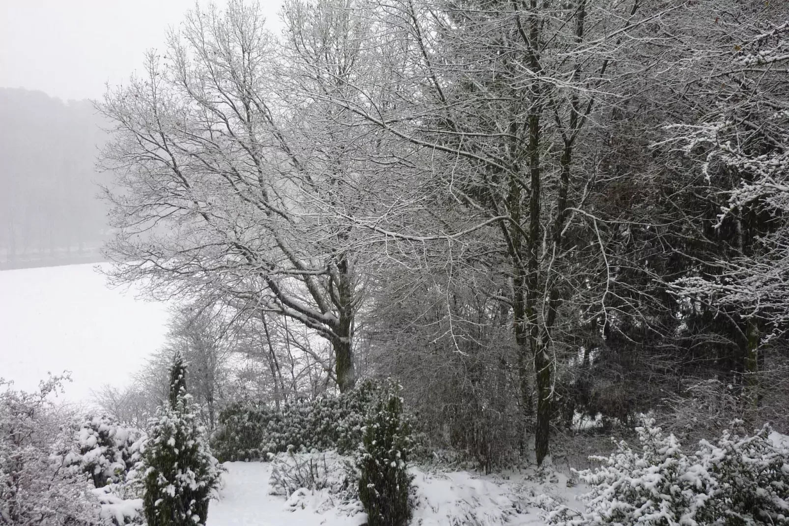 Domaine De L'Ecureuil 3-Tuin winter