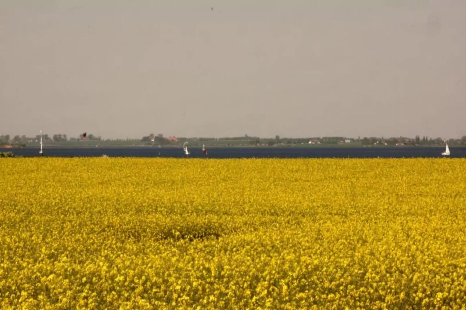 Zierow Z2A-Gebieden zomer 20km
