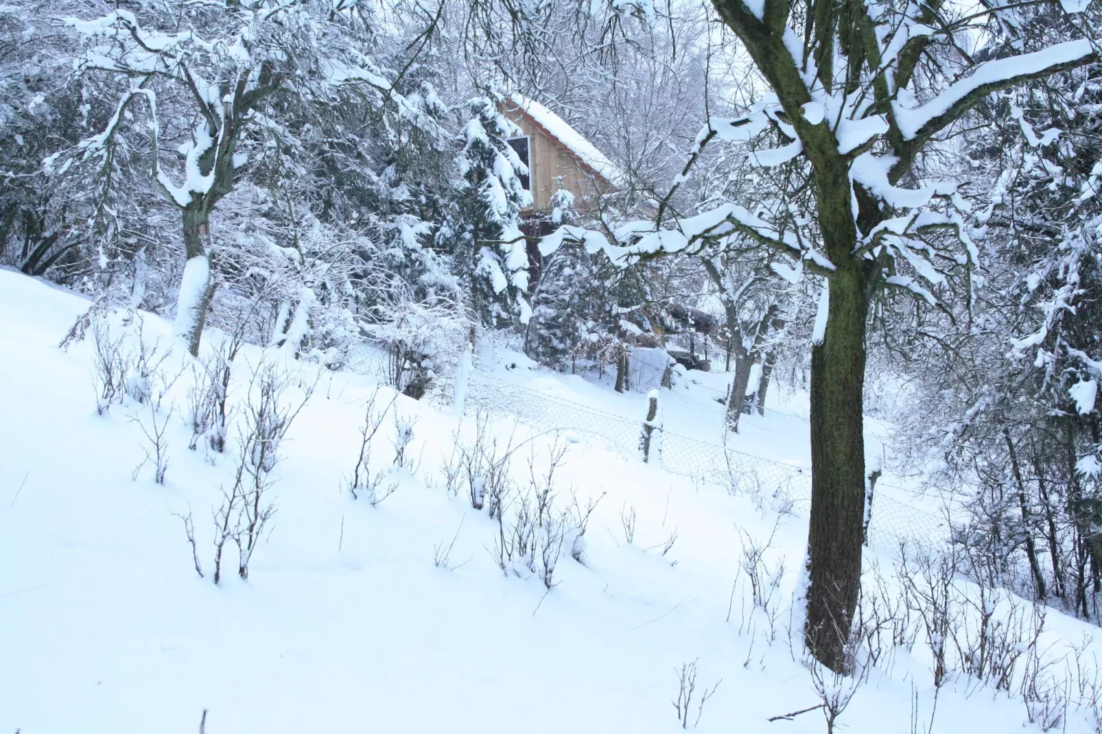 Reeenheuvel-Exterieur winter