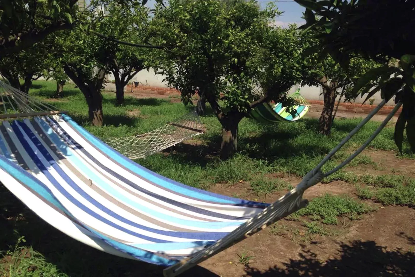 Casale tra gli Agrumi-Tuinen zomer