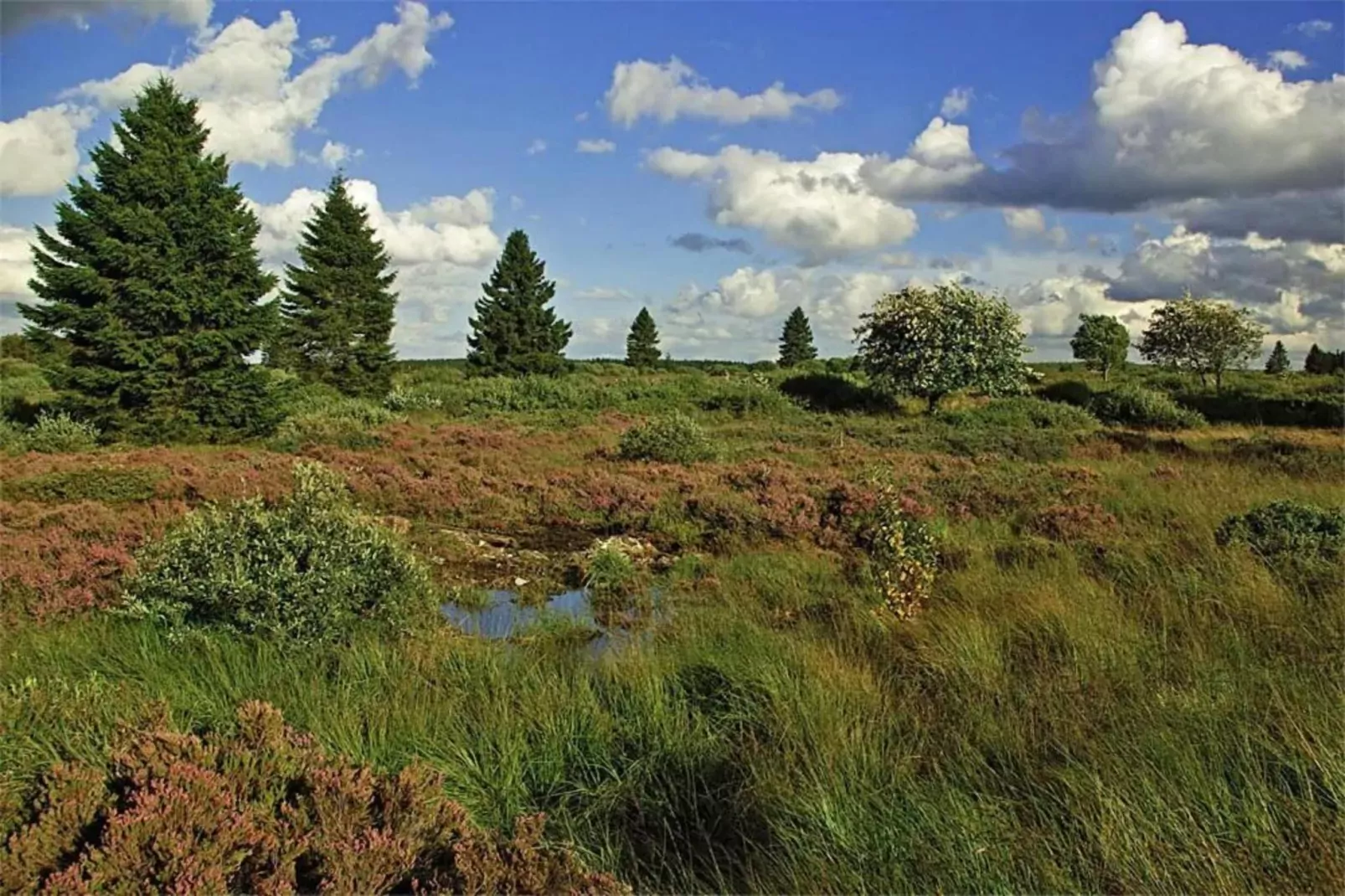 Le petit coin du bonheur-Gebieden zomer 20km