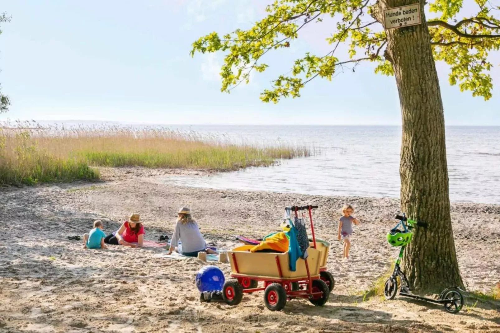 Ferienhaus Seeschwalbe-Classic 90 qm 5-Gebieden zomer 5km