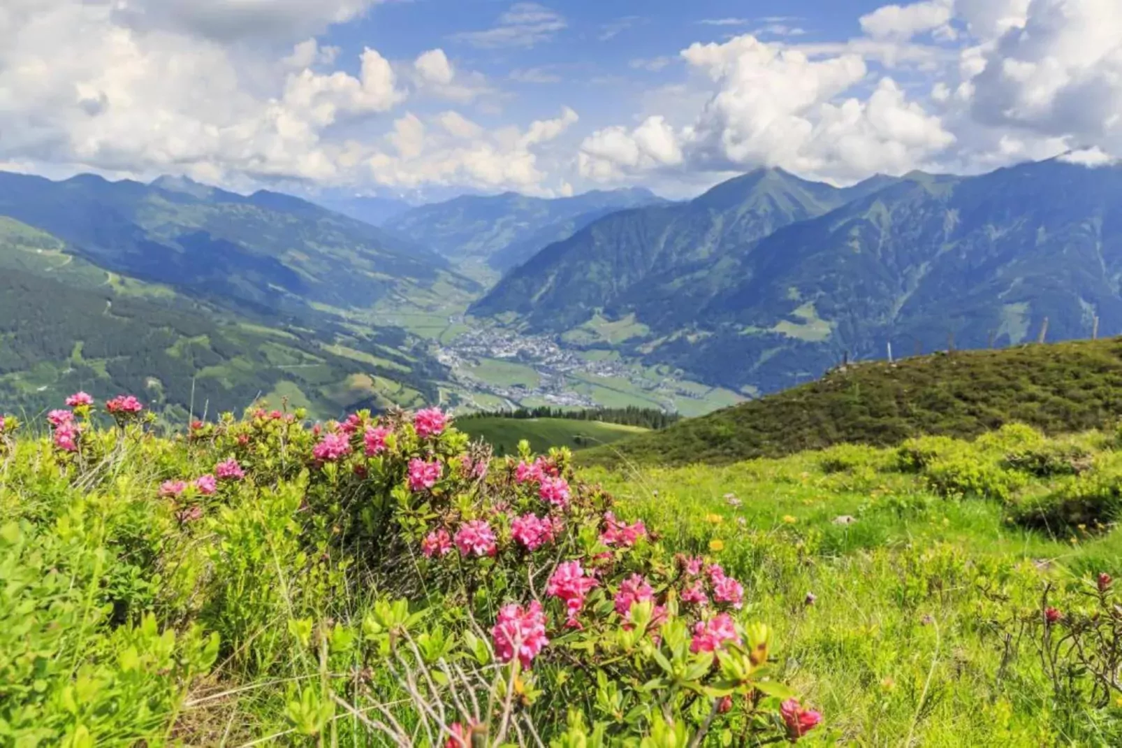 Superior Chalet-Gebieden zomer 20km
