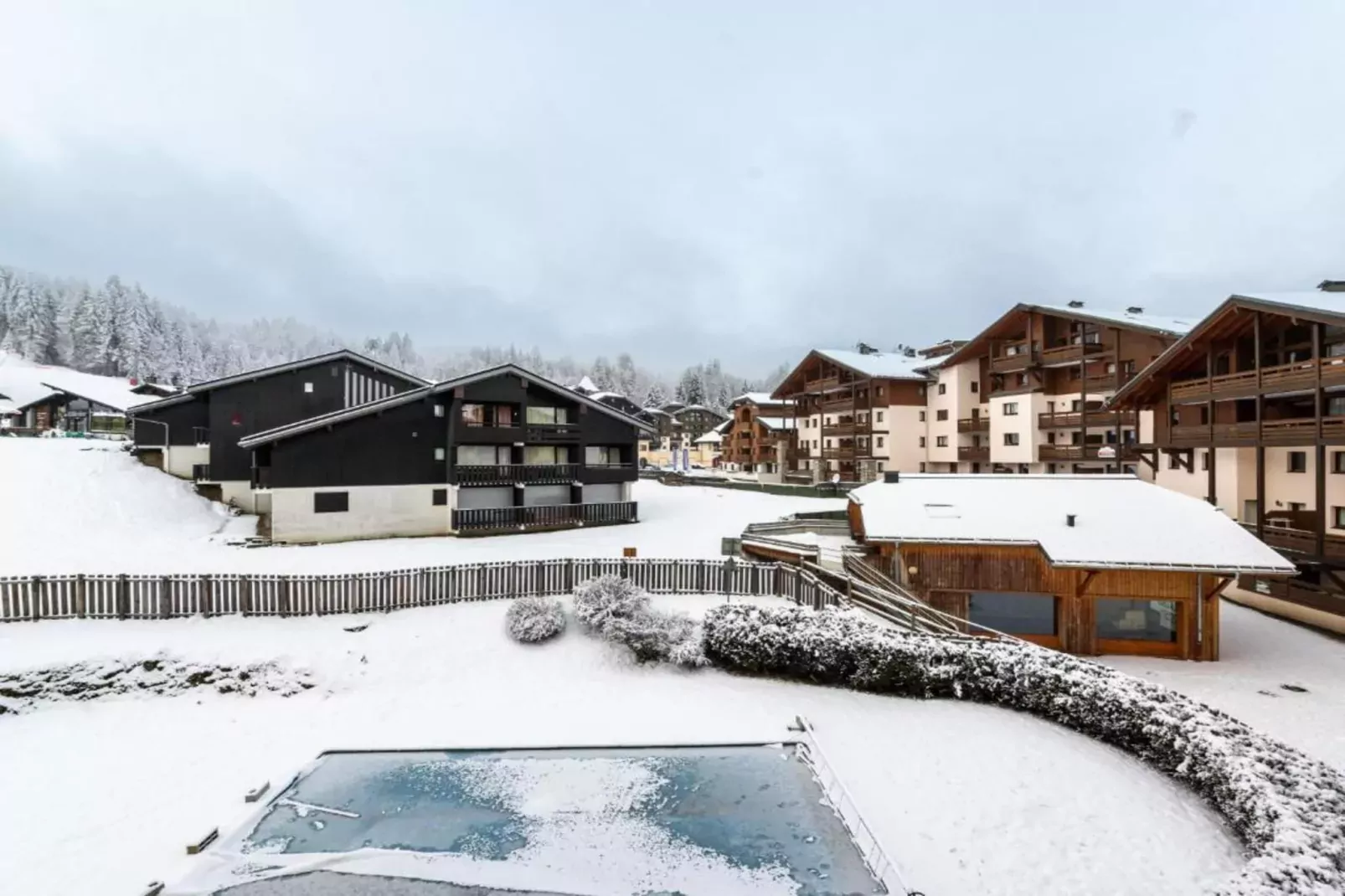 NIVEOLES B N°01 - 3P6-Gebied winter 1km