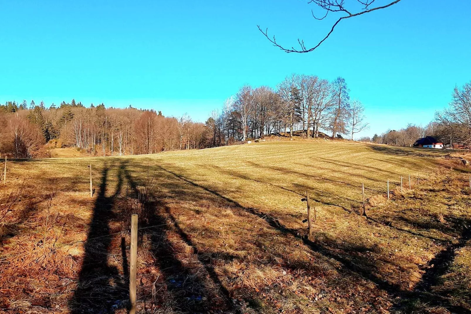 7 persoons vakantie huis in ÖXABÄCK-Buitenlucht