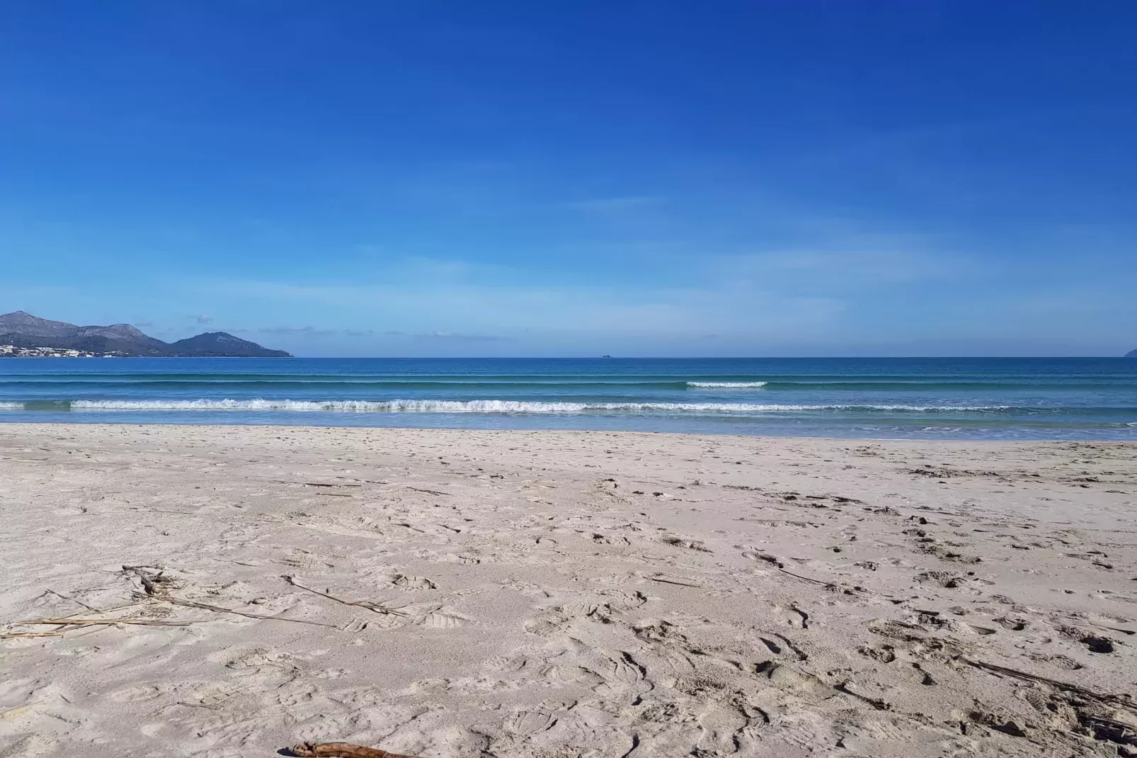 Mar Blau-Gebieden zomer 1km
