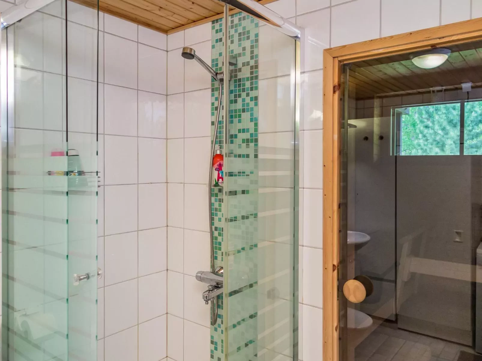 Alppitalo vihertähti 5 apt 2-Binnen