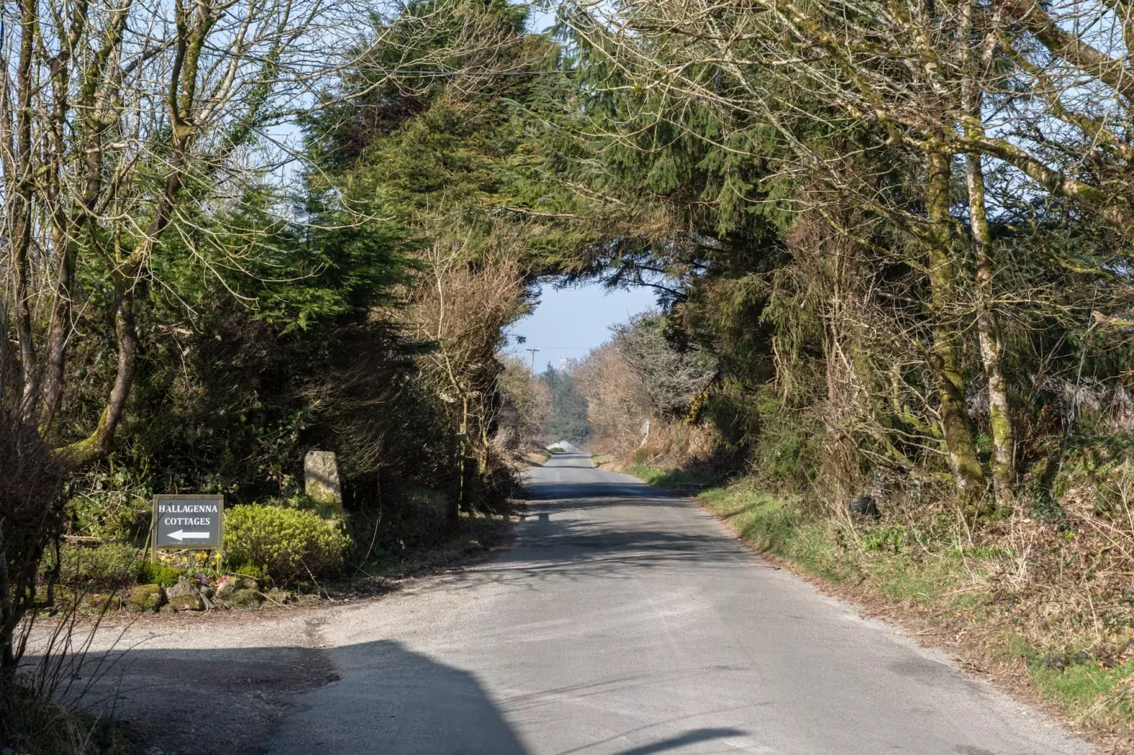 Trippet Cottage at Bodmin Moor-Gebieden zomer 5km