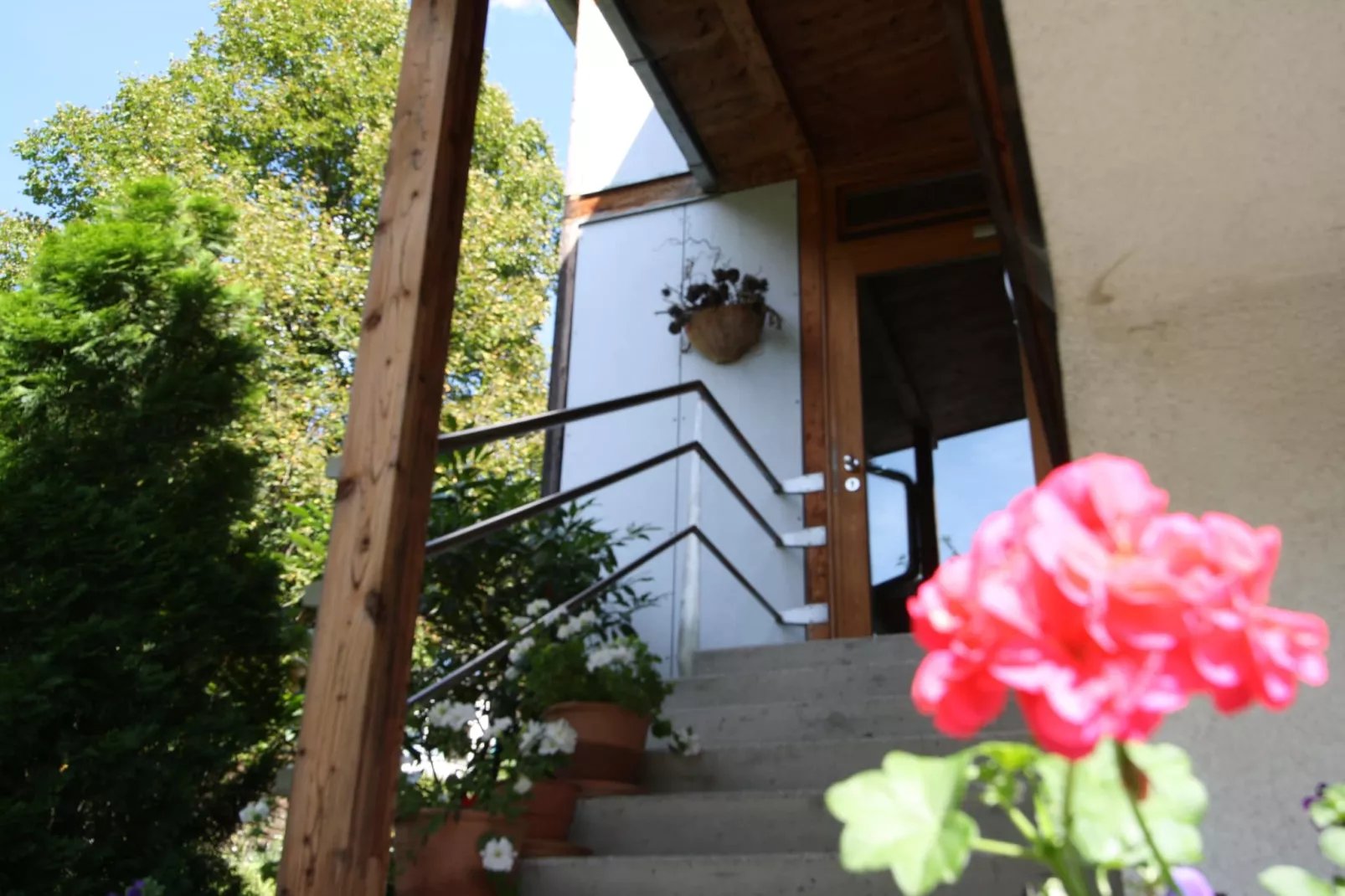 House Dual2 4apartments 5adult-Buitenkant zomer