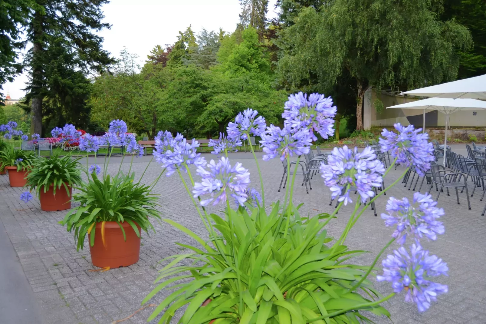 Am Ferienbauernhof - FW 1-Gebieden zomer 20km