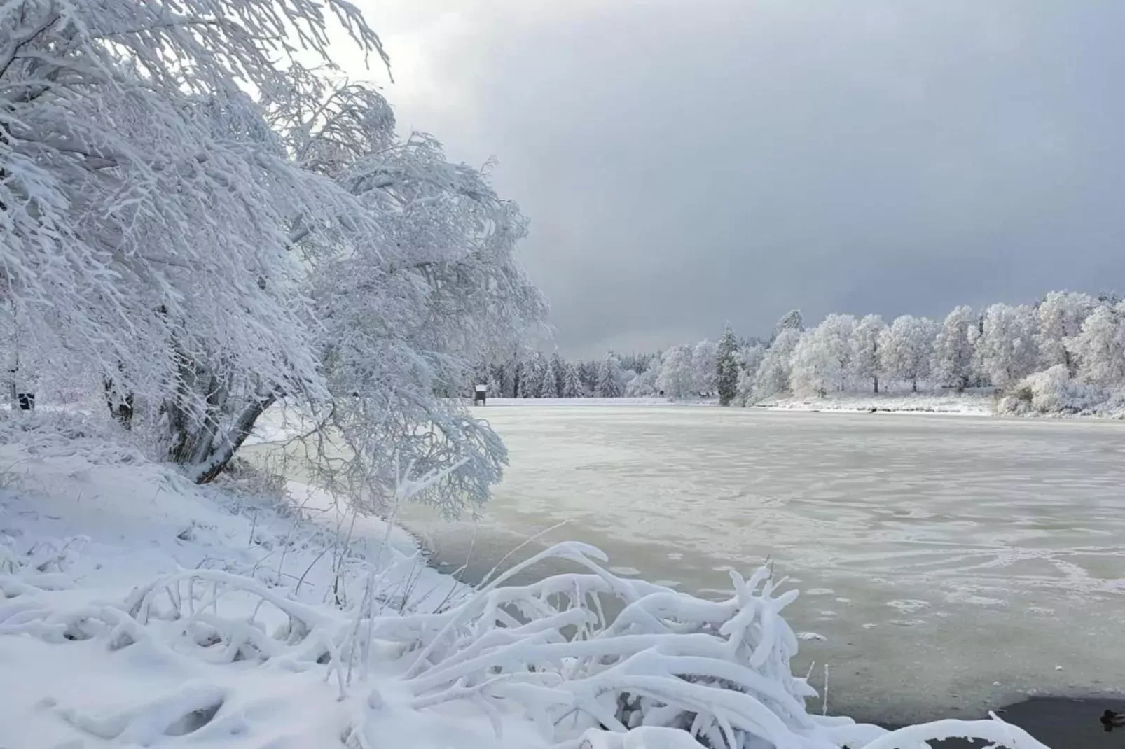 Wernigerode-Gebied winter 20km