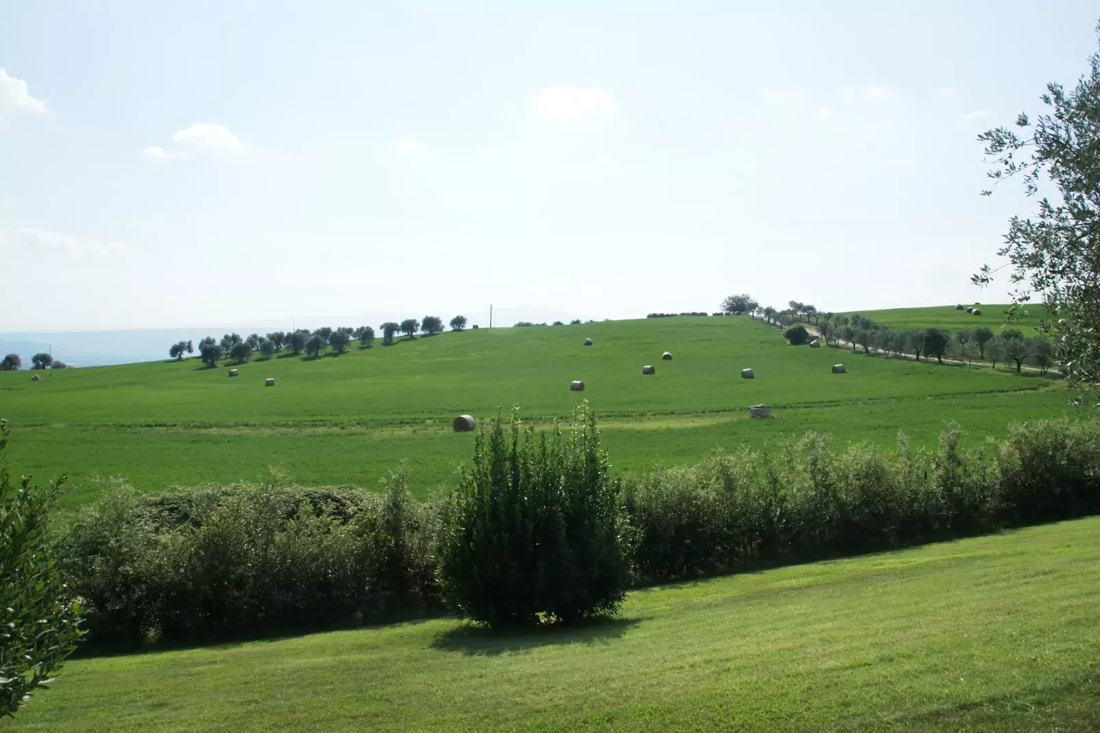 Il Leccio-Uitzicht zomer