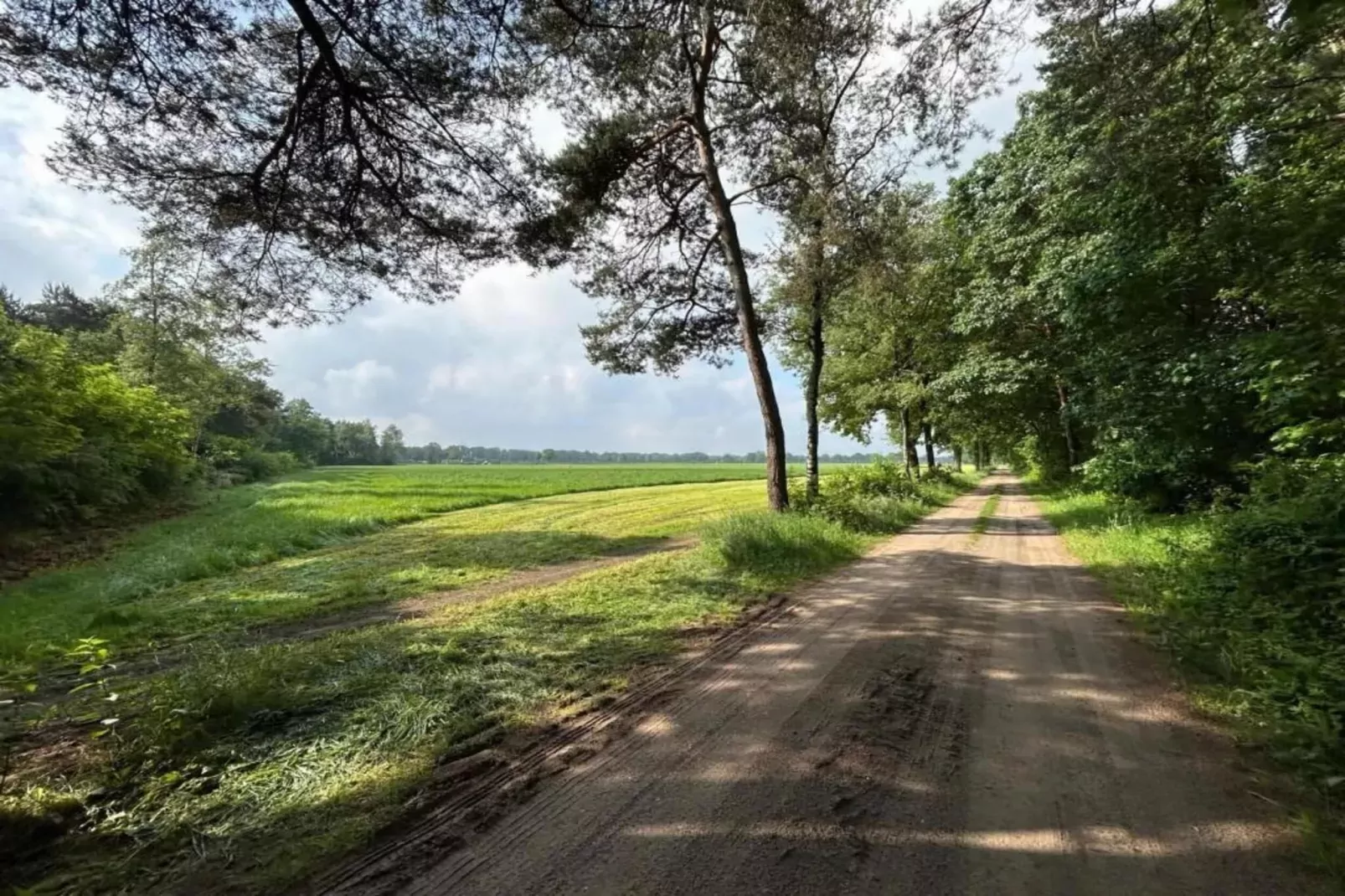 Het Kruisselt-Gebieden zomer 20km