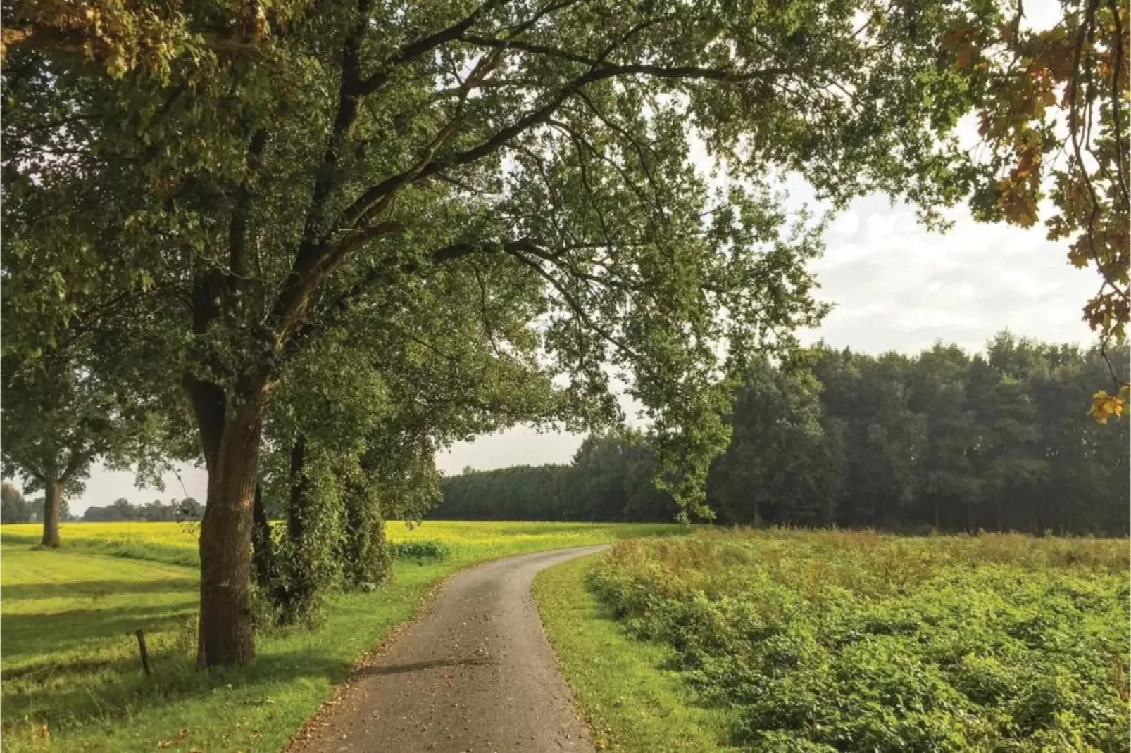 Kabinet-Gebieden zomer 20km