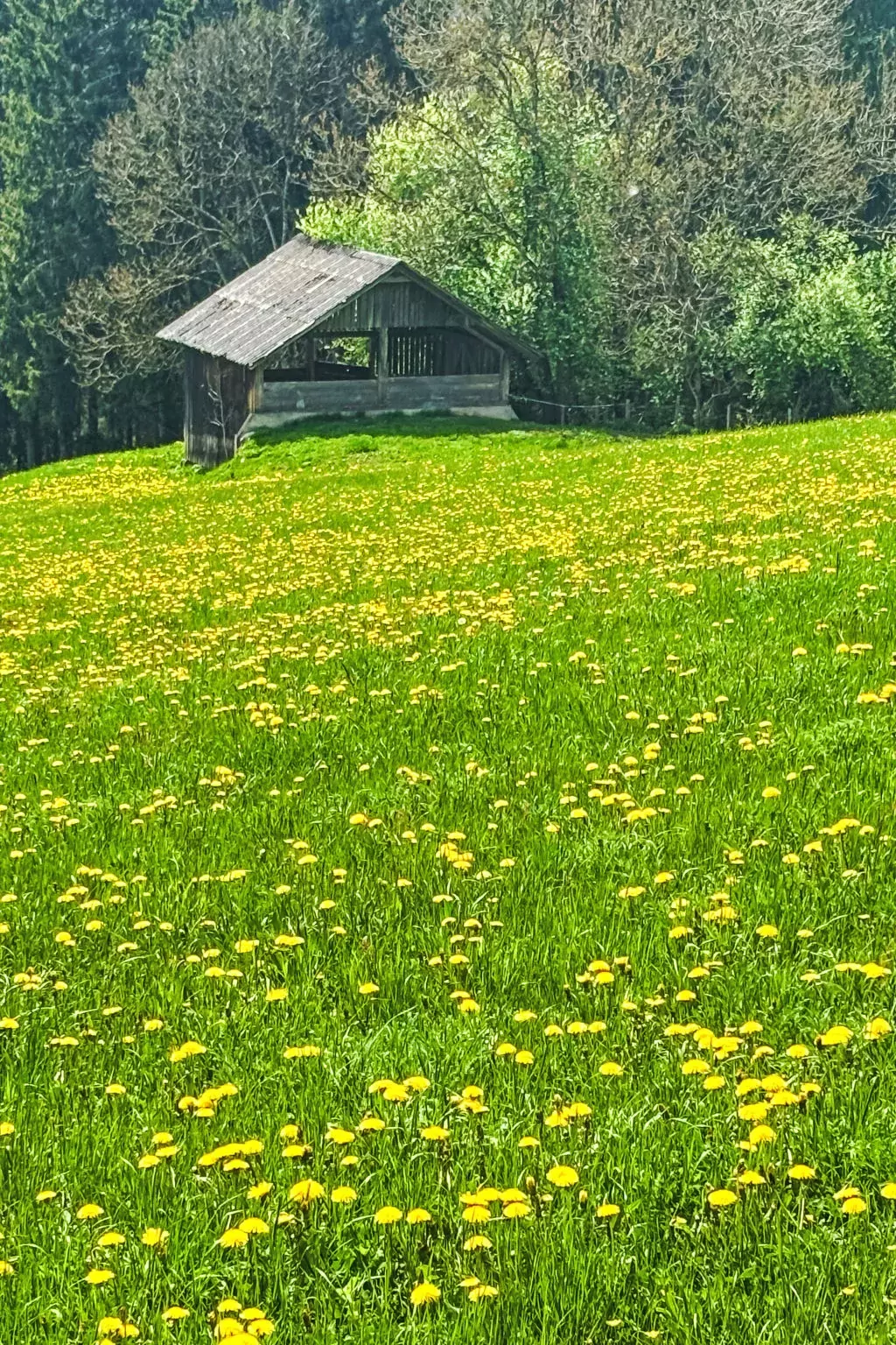 Wohnung 5-Buiten