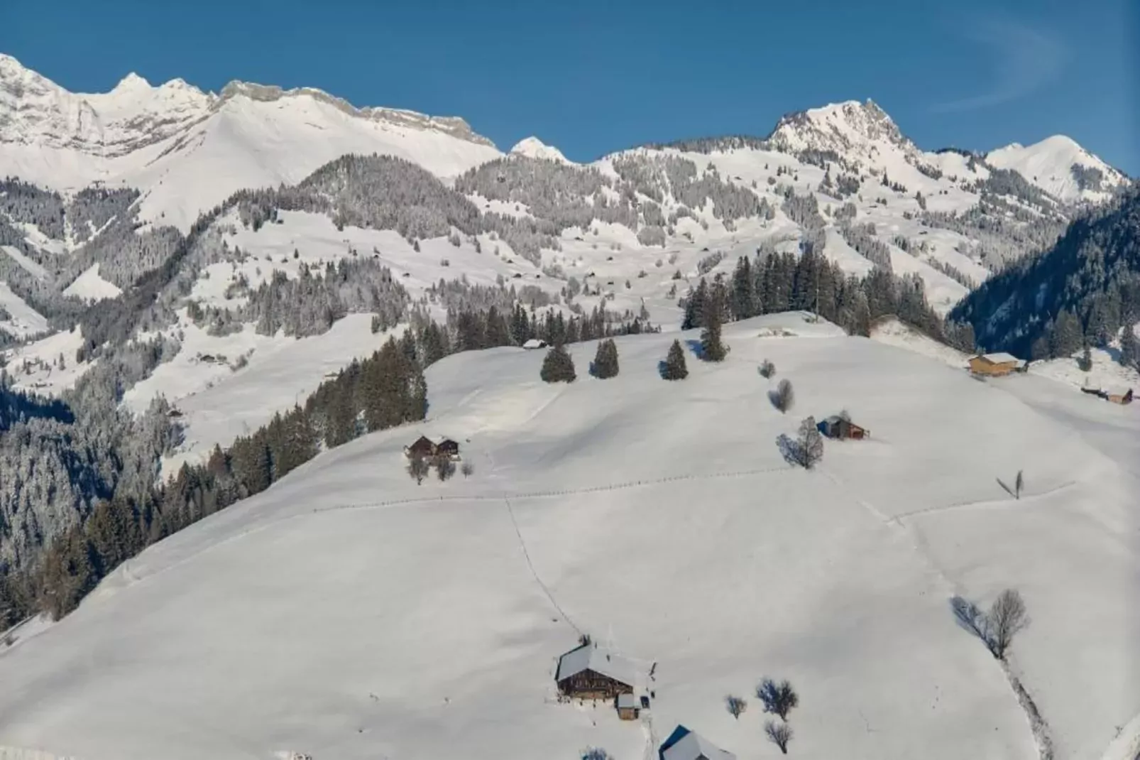 Modern Luxury Duplex In Central Gstaad-Gebieden zomer 20km