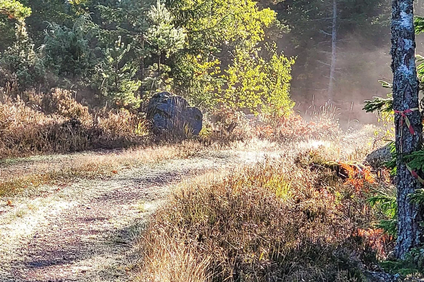 5 persoons vakantie huis in GAMLEBY-Niet-getagd