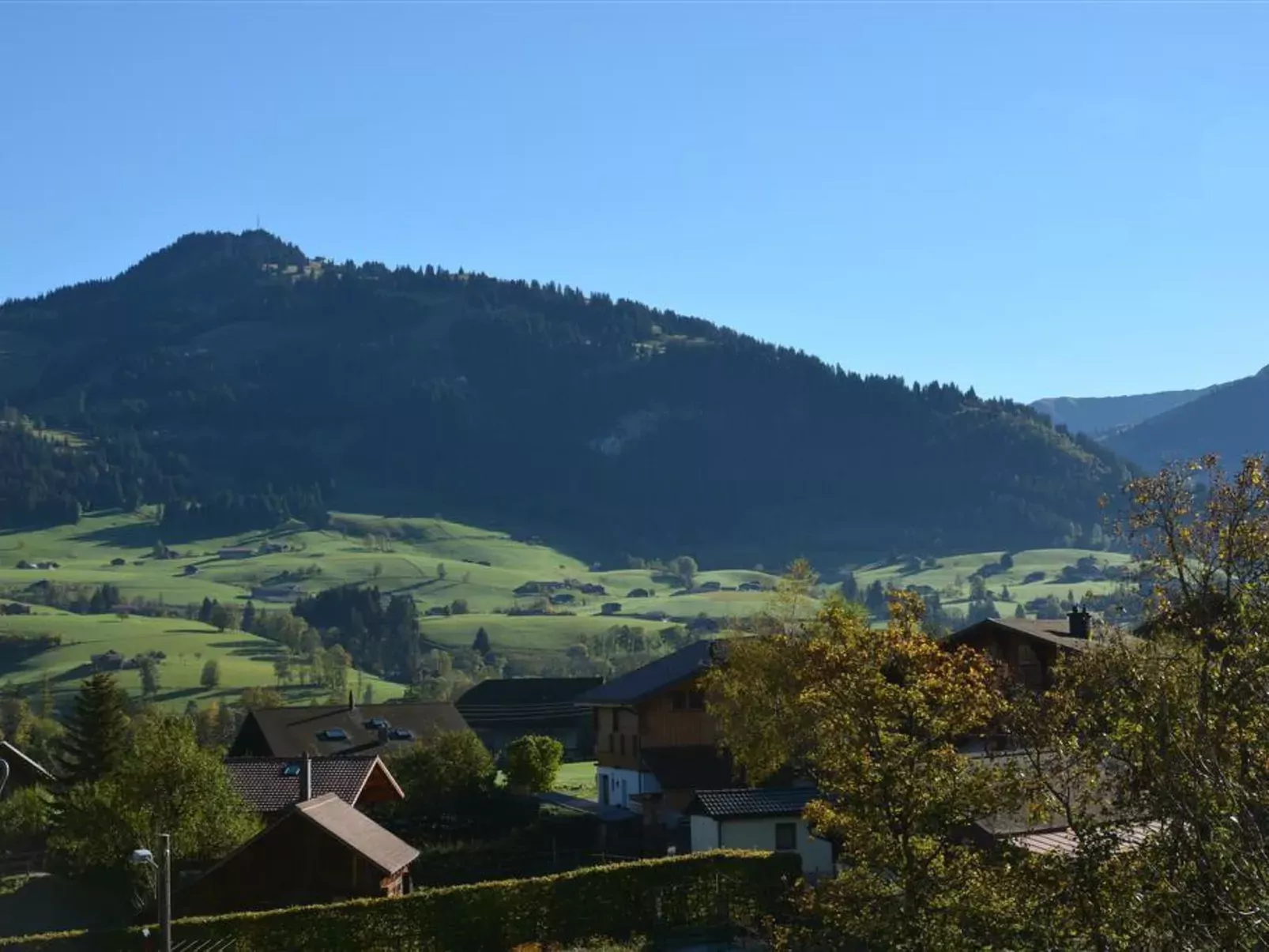 Hornflue (Baumann)-Buiten