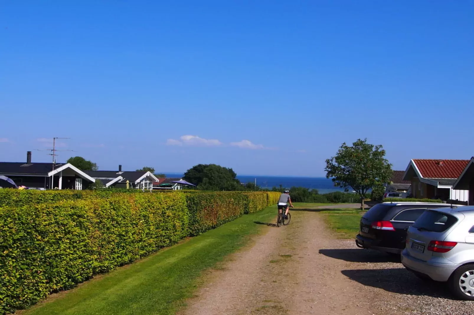 141732-Tuinen zomer