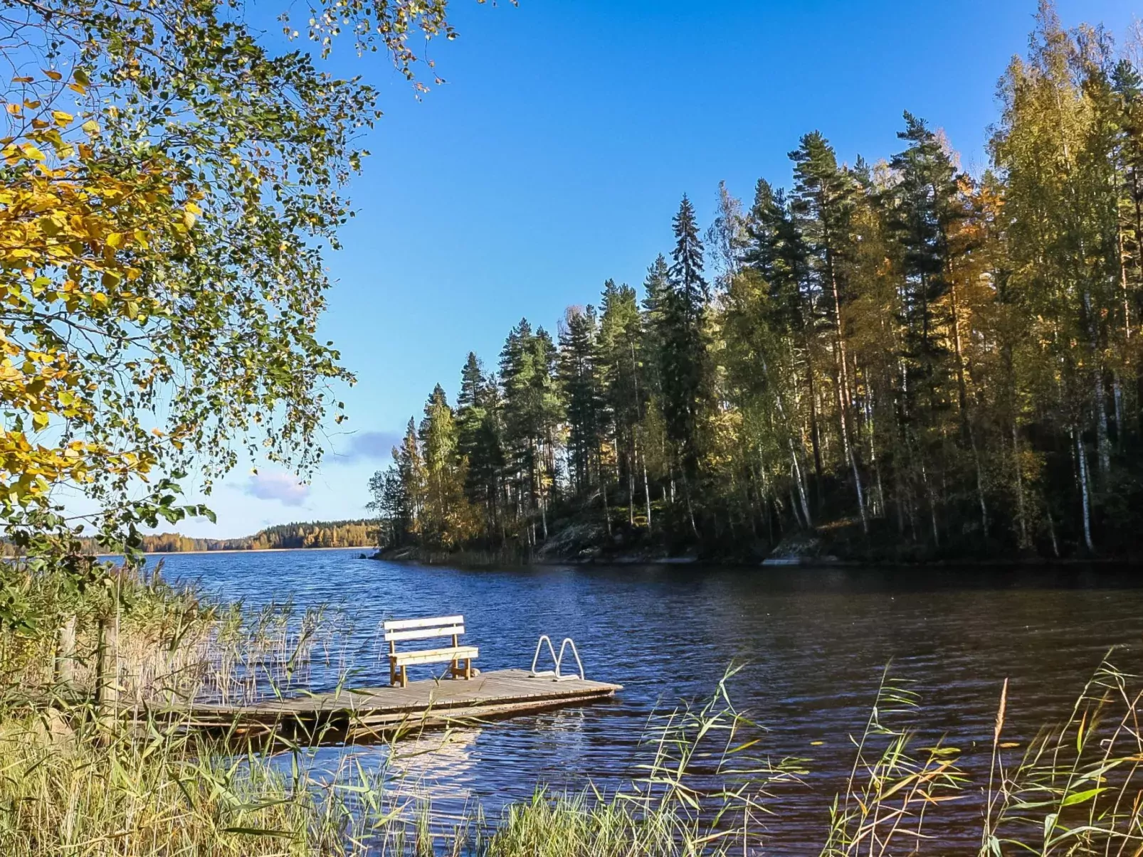 Mäntyrinne-Buiten
