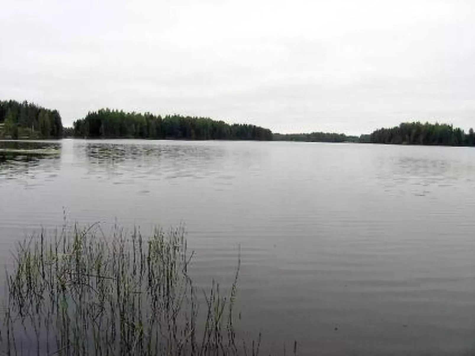 Kärkelä-Buiten