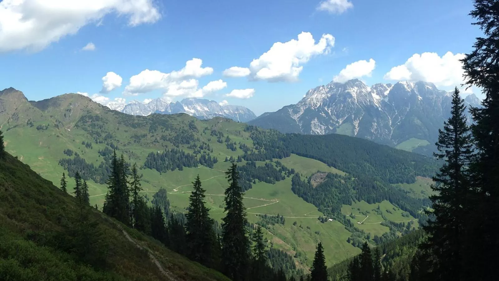 Saalachblick-Gebieden zomer 20km
