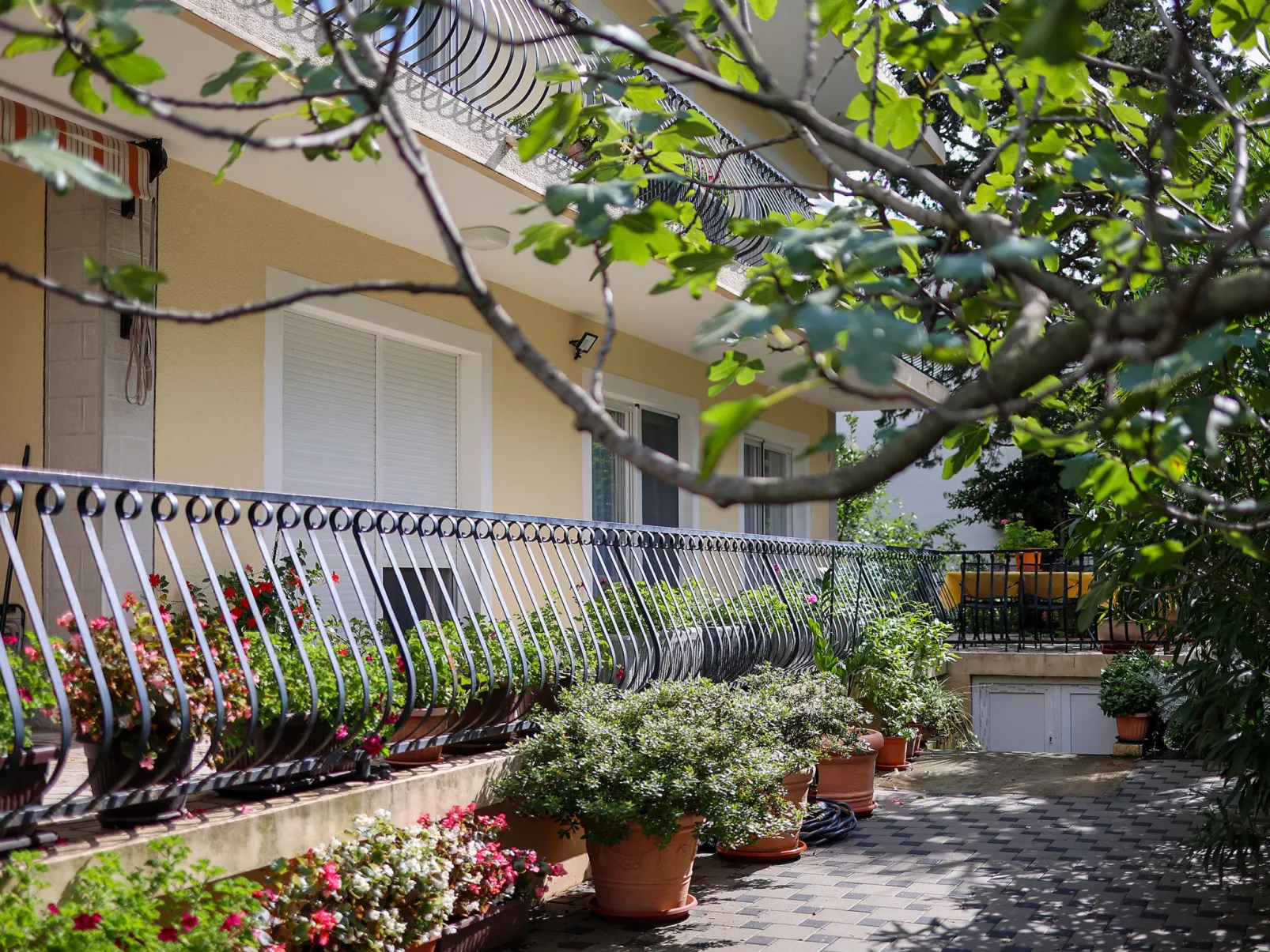 Apartmani Pintar-Buiten