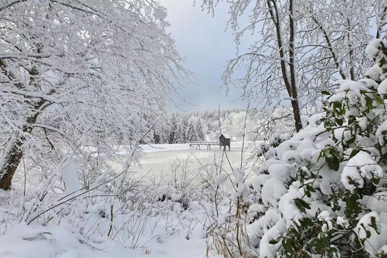 Wernigerode-Gebied winter 20km