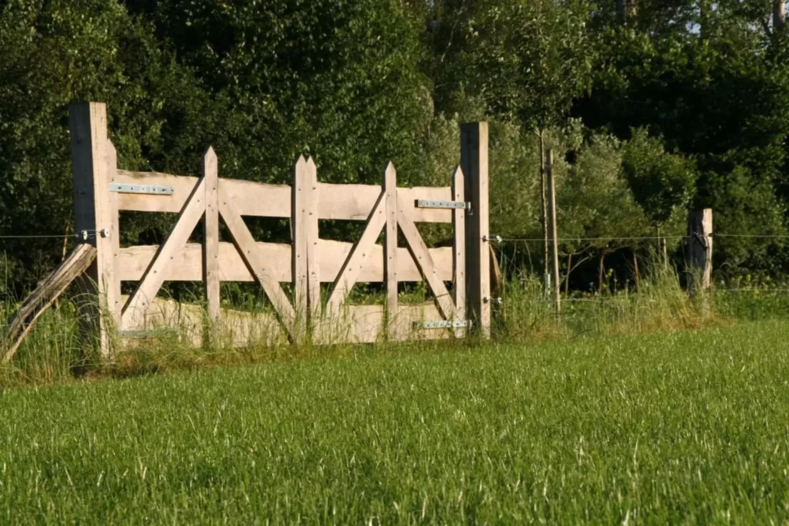 Het Kruisselt-Gebieden zomer 20km
