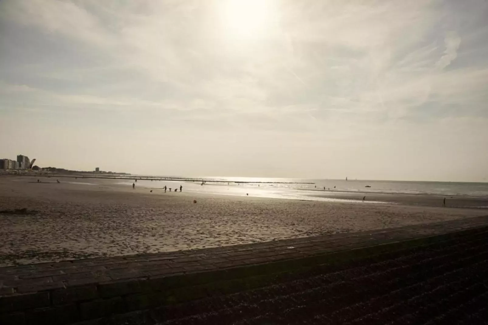 WSP7-Gebieden zomer 20km