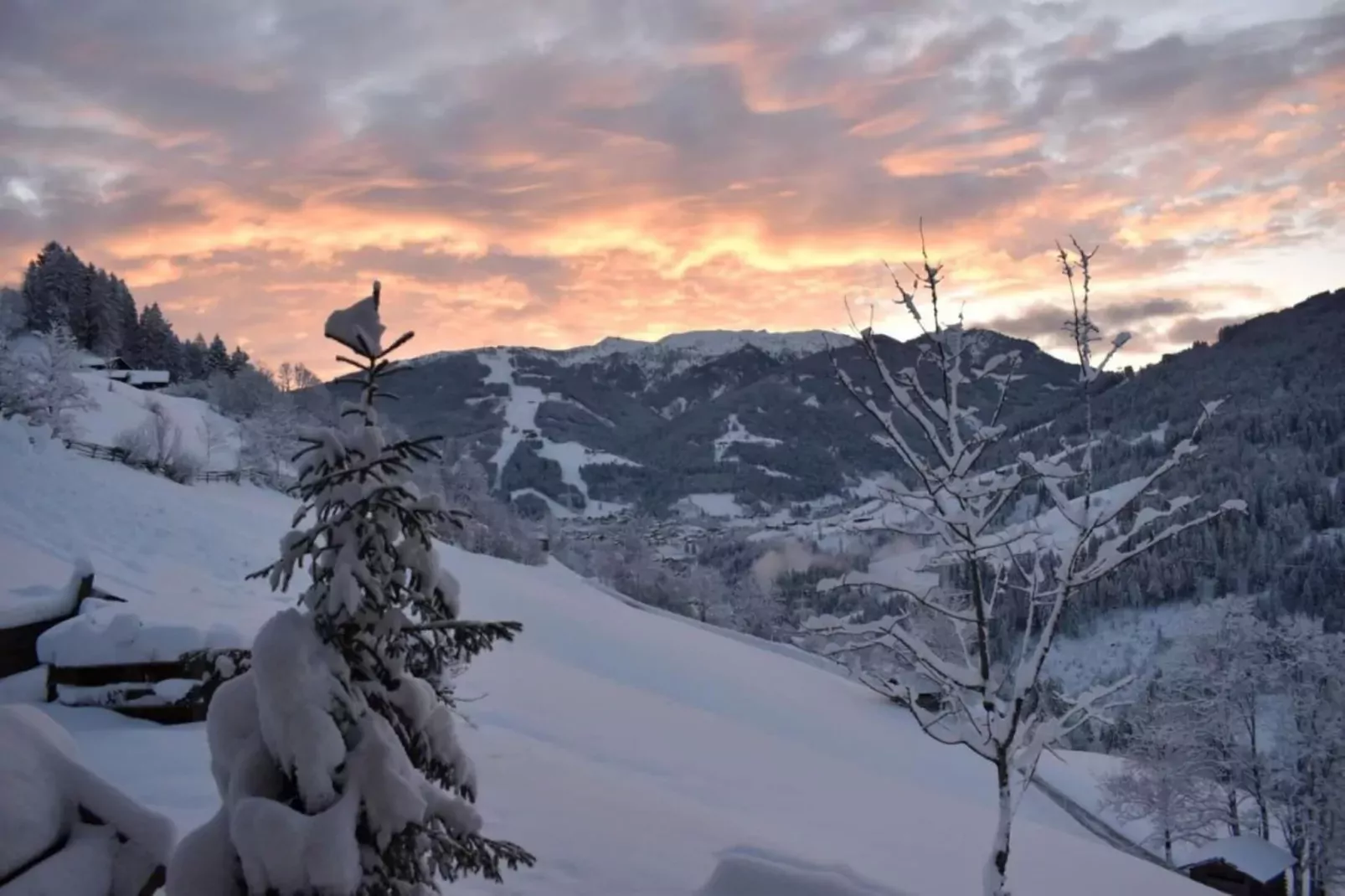GA2C Alpenleben Apartments-Gebied winter 20km