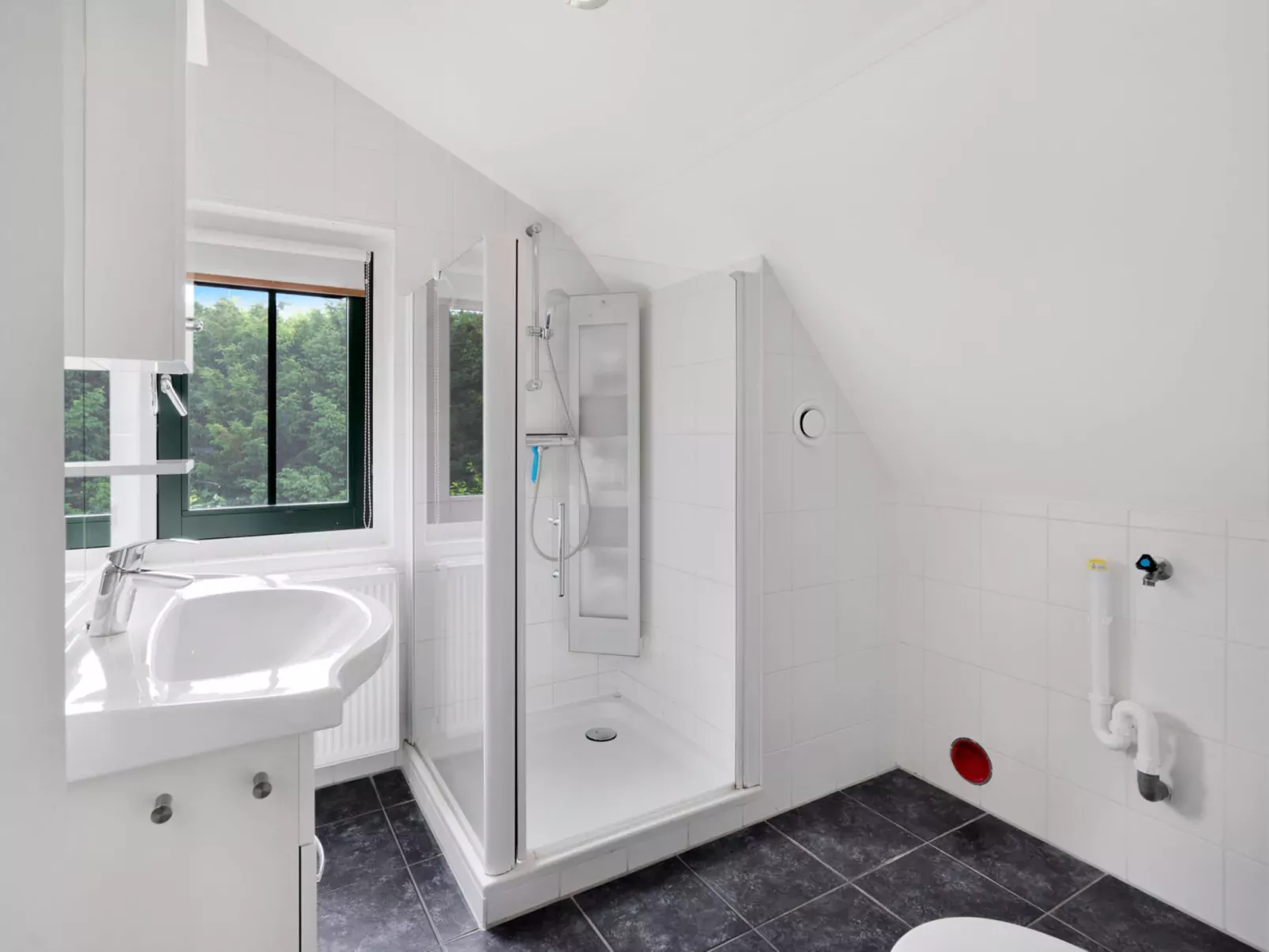 Koningshoeve Wellness 4 personen-Binnen