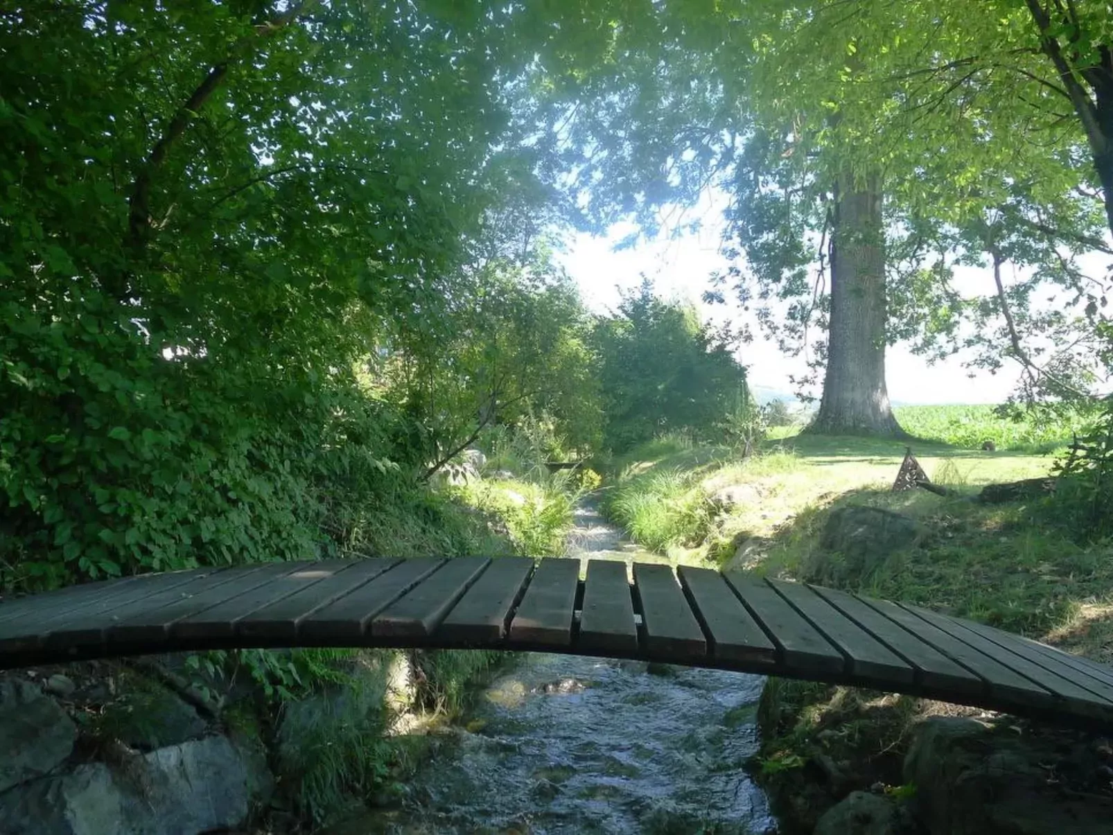 Ferienhaus Oase am Mühlebach-Buiten
