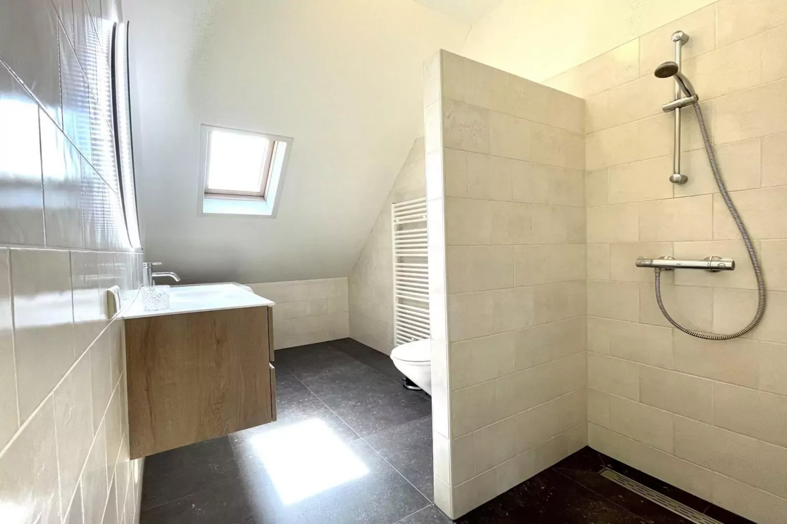 Anzelhoef Apartment Oost-Badkamer